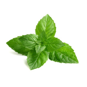Arôme Menthe verte