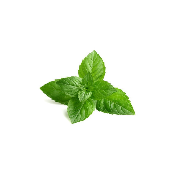 Arôme Menthe verte