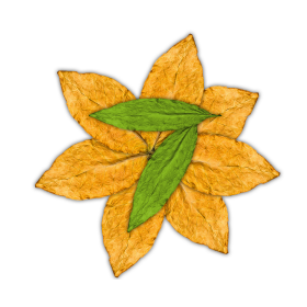 Arôme 7Leaves