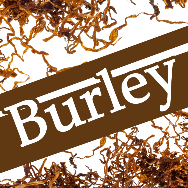 Arôme Burley