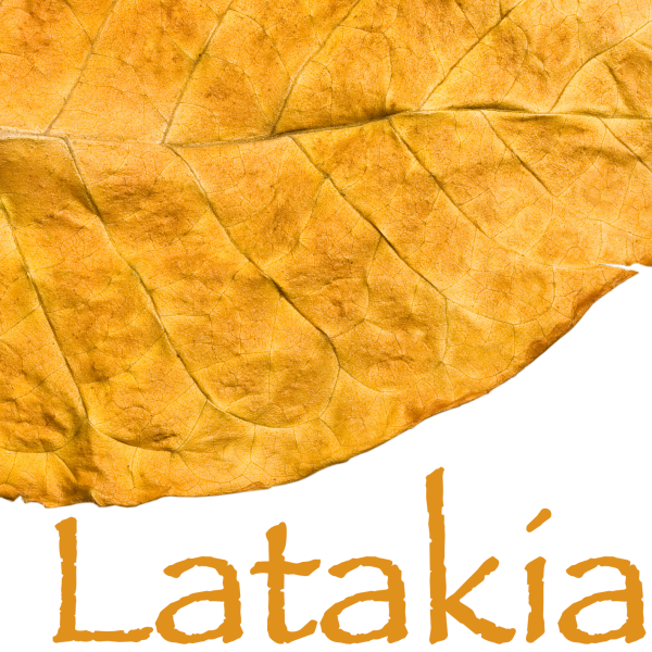 Arôme Latakia